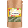 Estragon