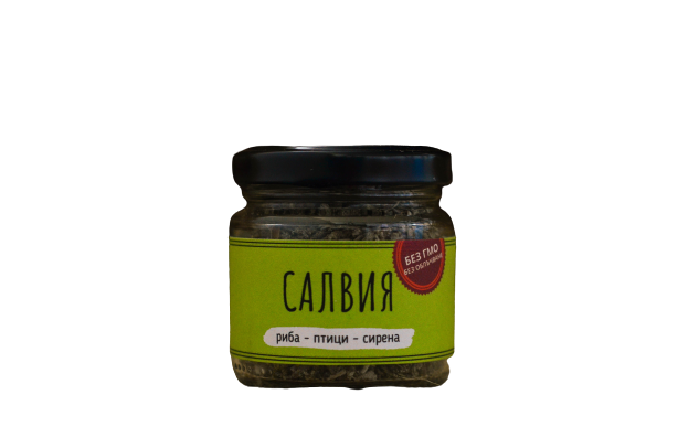 Salvia